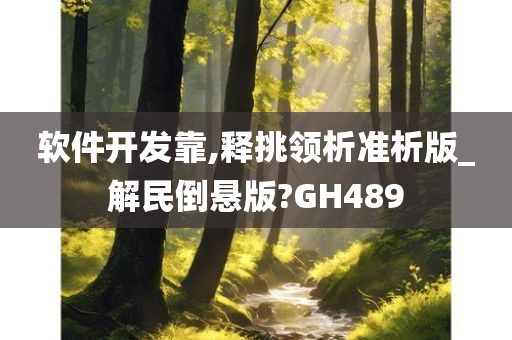 软件开发靠,释挑领析准析版_解民倒悬版?GH489