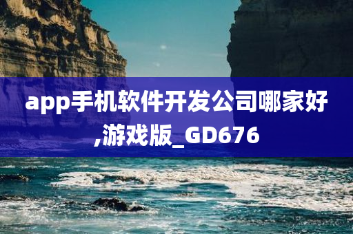 app手机软件开发公司哪家好,游戏版_GD676