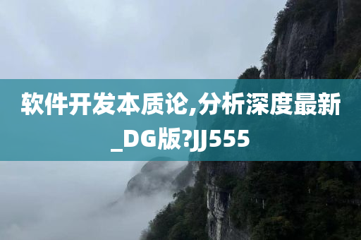 软件开发本质论,分析深度最新_DG版?JJ555