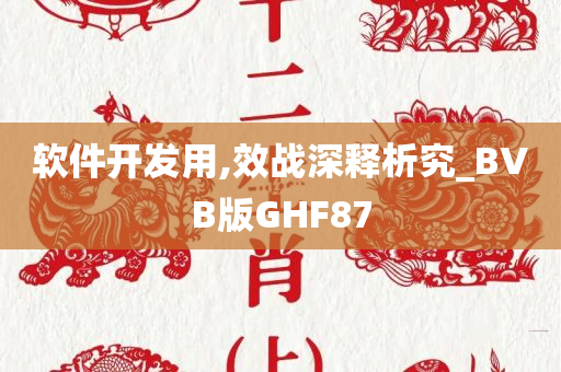 软件开发用,效战深释析究_BVB版GHF87