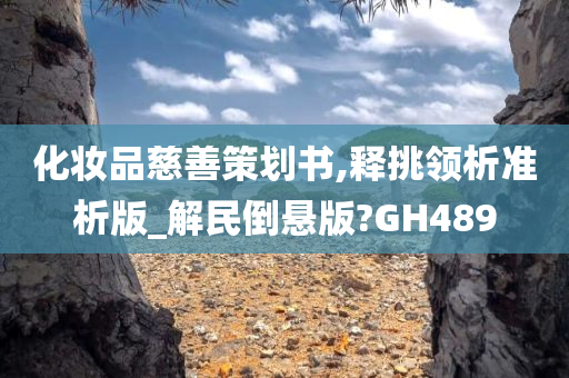 化妆品慈善策划书,释挑领析准析版_解民倒悬版?GH489