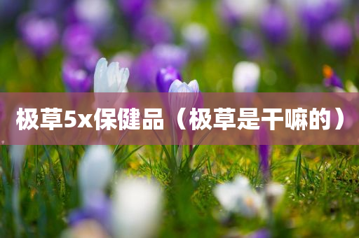 极草5x保健品（极草是干嘛的）