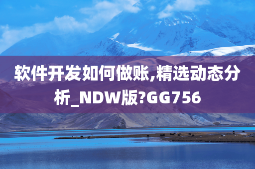 软件开发如何做账,精选动态分析_NDW版?GG756