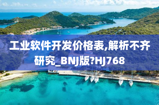 工业软件开发价格表,解析不齐研究_BNJ版?HJ768