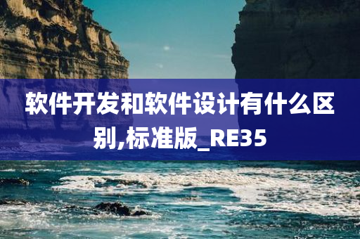 软件开发和软件设计有什么区别,标准版_RE35