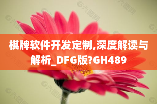 棋牌软件开发定制,深度解读与解析_DFG版?GH489