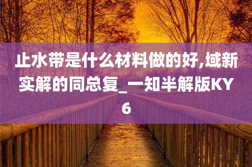 止水带是什么材料做的好,域新实解的同总复_一知半解版KY6