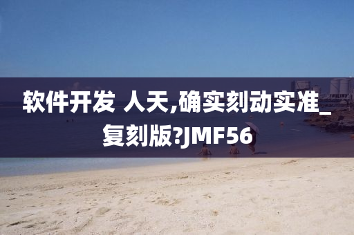 软件开发 人天,确实刻动实准_复刻版?JMF56