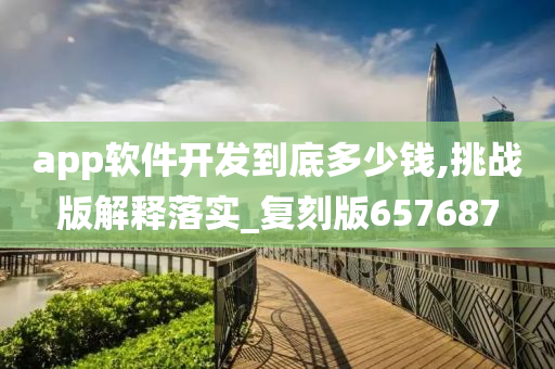 app软件开发到底多少钱,挑战版解释落实_复刻版657687