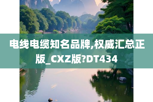 电线电缆知名品牌,权威汇总正版_CXZ版?DT434