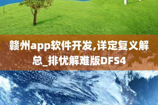 赣州app软件开发,详定复义解总_排忧解难版DFS4