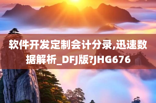 软件开发定制会计分录,迅速数据解析_DFJ版?JHG676