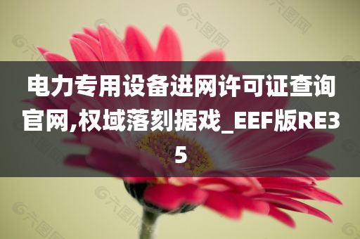 电力专用设备进网许可证查询官网,权域落刻据戏_EEF版RE35