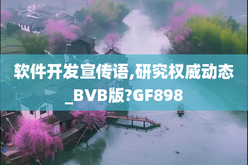 软件开发宣传语,研究权威动态_BVB版?GF898