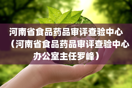 河南省食品药品审评查验中心（河南省食品药品审评查验中心办公室主任罗峰）