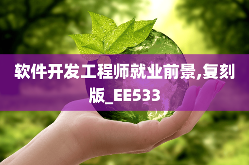 软件开发工程师就业前景,复刻版_EE533