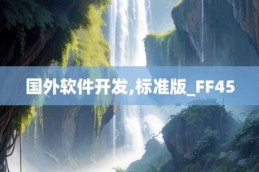 国外软件开发,标准版_FF45