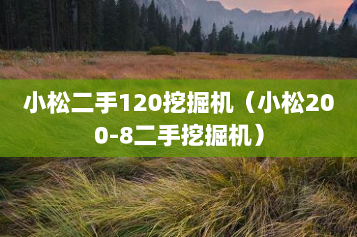 小松二手120挖掘机（小松200-8二手挖掘机）