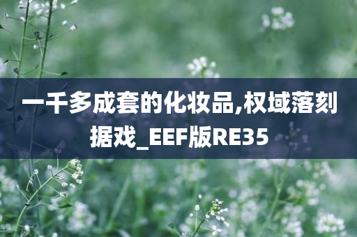 一千多成套的化妆品,权域落刻据戏_EEF版RE35