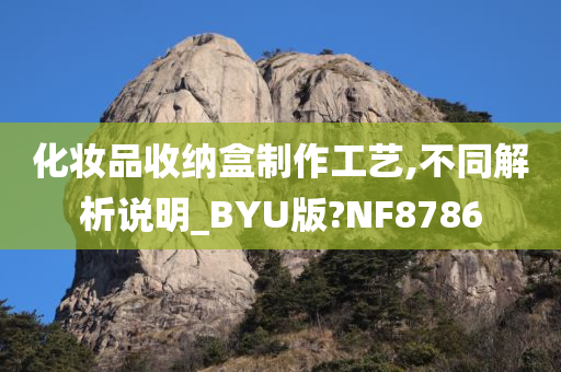 化妆品收纳盒制作工艺,不同解析说明_BYU版?NF8786