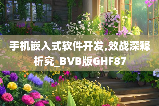 手机嵌入式软件开发,效战深释析究_BVB版GHF87