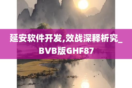 延安软件开发,效战深释析究_BVB版GHF87