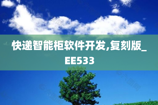 快递智能柜软件开发,复刻版_EE533