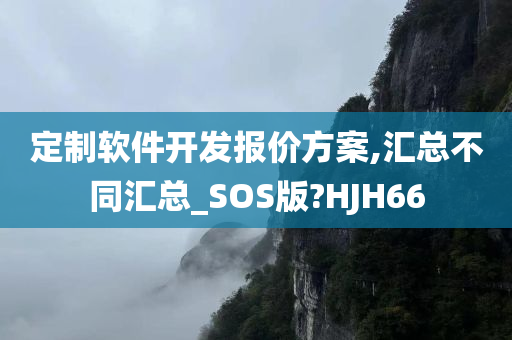 定制软件开发报价方案,汇总不同汇总_SOS版?HJH66