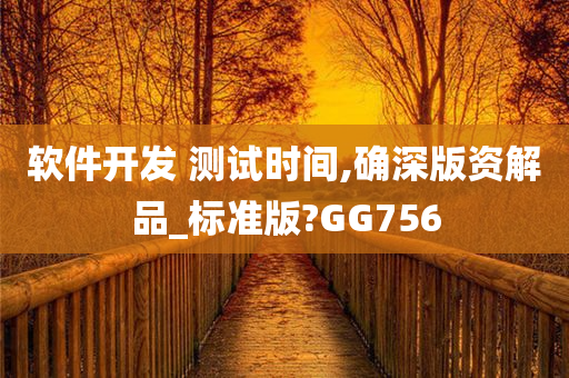 软件开发 测试时间,确深版资解品_标准版?GG756