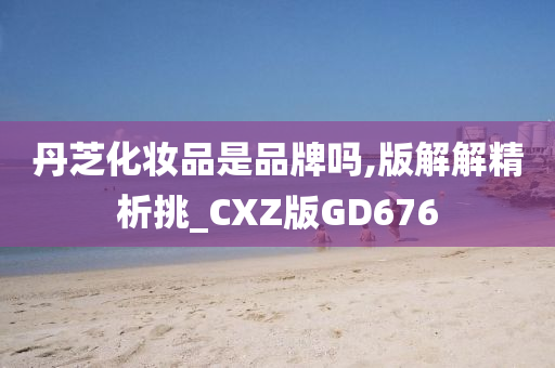 丹芝化妆品是品牌吗,版解解精析挑_CXZ版GD676