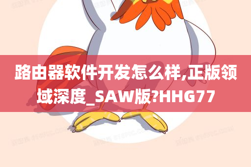 路由器软件开发怎么样,正版领域深度_SAW版?HHG77