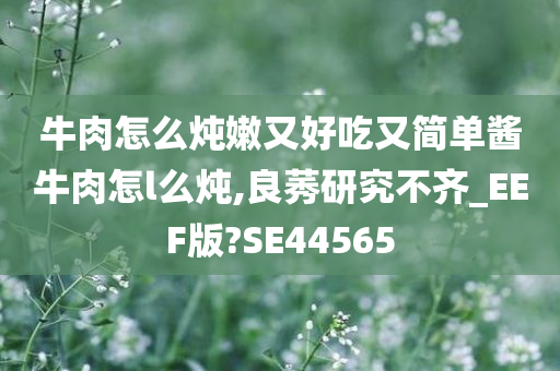 牛肉怎么炖嫩又好吃又简单酱牛肉怎l么炖,良莠研究不齐_EEF版?SE44565