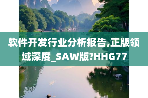 软件开发行业分析报告,正版领域深度_SAW版?HHG77