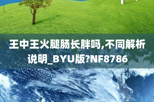 王中王火腿肠长胖吗,不同解析说明_BYU版?NF8786