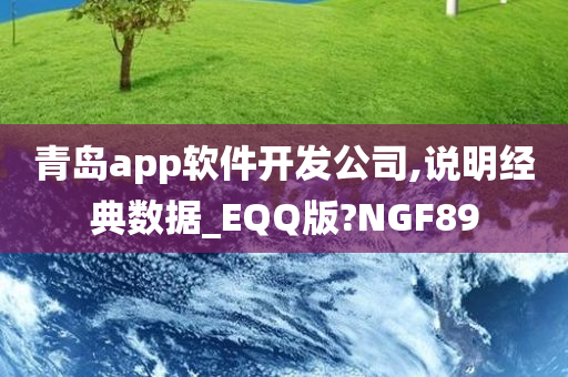 青岛app软件开发公司,说明经典数据_EQQ版?NGF89