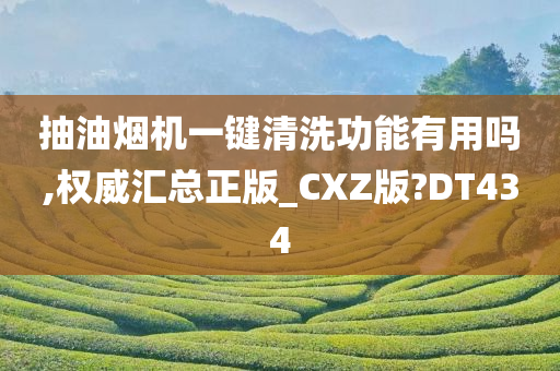 抽油烟机一键清洗功能有用吗,权威汇总正版_CXZ版?DT434