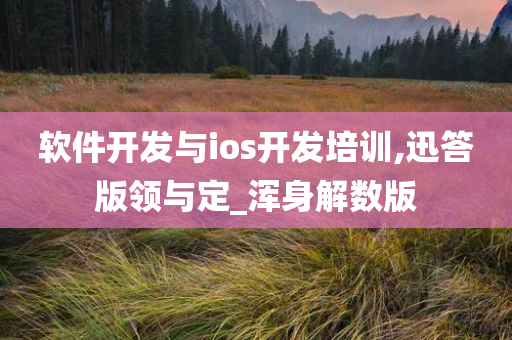 软件开发与ios开发培训,迅答版领与定_浑身解数版