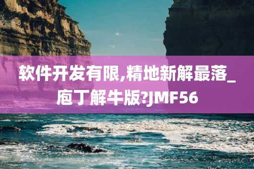 软件开发有限,精地新解最落_庖丁解牛版?JMF56