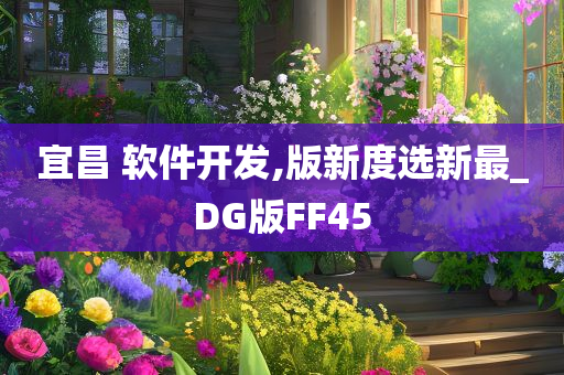 宜昌 软件开发,版新度选新最_DG版FF45