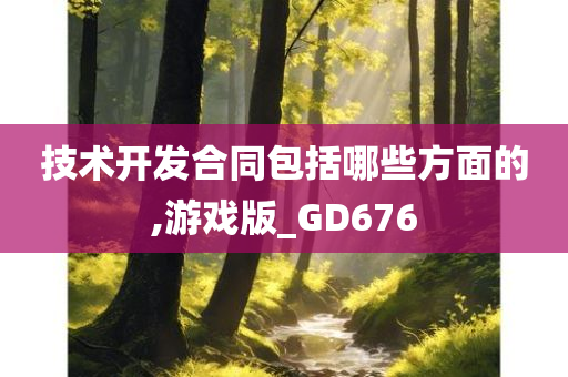 技术开发合同包括哪些方面的,游戏版_GD676