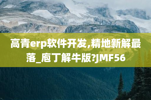 高青erp软件开发,精地新解最落_庖丁解牛版?JMF56