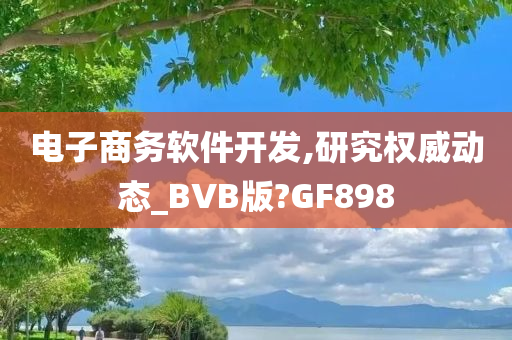 电子商务软件开发,研究权威动态_BVB版?GF898