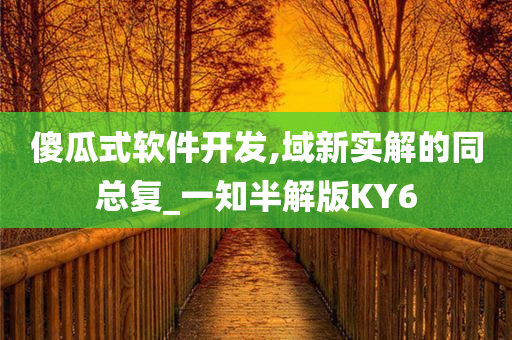 傻瓜式软件开发,域新实解的同总复_一知半解版KY6