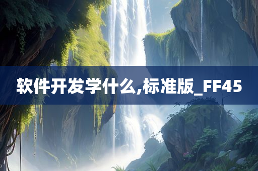 软件开发学什么,标准版_FF45