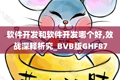 软件开发和软件开发哪个好,效战深释析究_BVB版GHF87