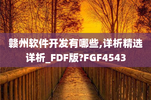 赣州软件开发有哪些,详析精选详析_FDF版?FGF4543