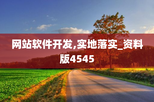 网站软件开发,实地落实_资料版4545