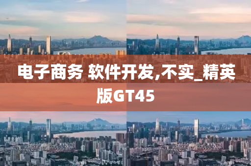 电子商务 软件开发,不实_精英版GT45