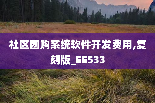 社区团购系统软件开发费用,复刻版_EE533