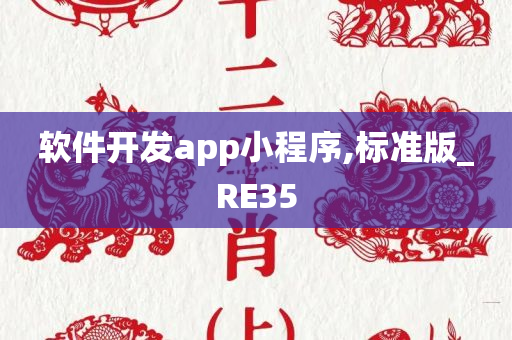 软件开发app小程序,标准版_RE35